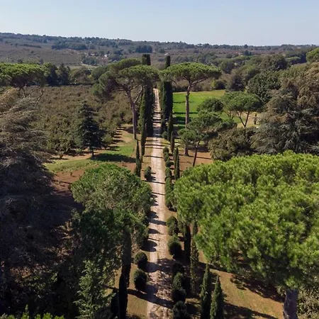 Querce D'orlando Chateau Sleeps 14 With Pool And Wifi Holiday home *